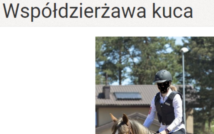Zbiórka na dzierżawę konia - zdjęcie główne