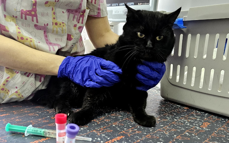 Zbiórka Mark - zdjęcie główne