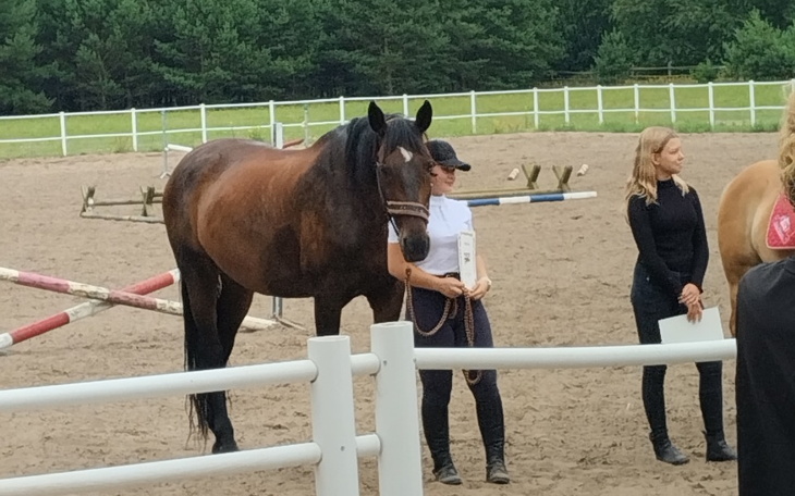 Zbiórka Na konika. - zdjęcie główne