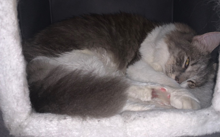 Zbiórka wyrok FIP - zdjęcie główne