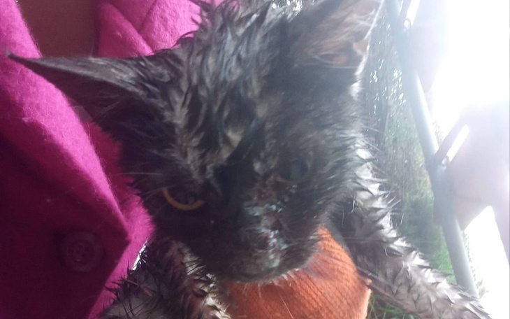 Zbiórka Maty grzewcze pilnie potrzebne - zdjęcie główne