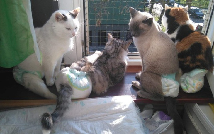 Zbiórka Pomóż Pomagać - zdjęcie główne