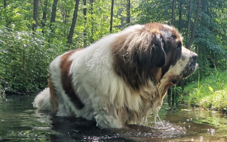 Zbiórka Na operacje Ujiko - zdjęcie główne