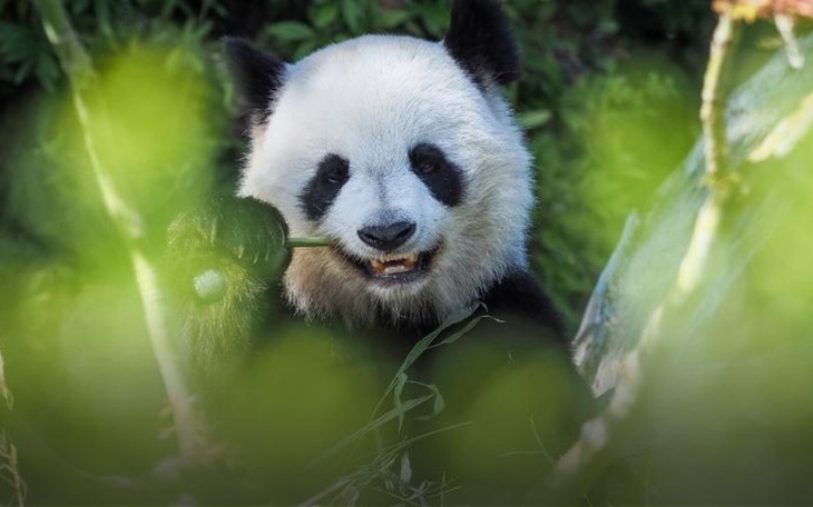 Zbiórka dla kuzynki kuzynki - zdjęcie główne