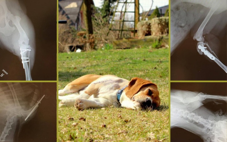 Zbiórka Maszka po wypadku - pomocy! - zdjęcie główne