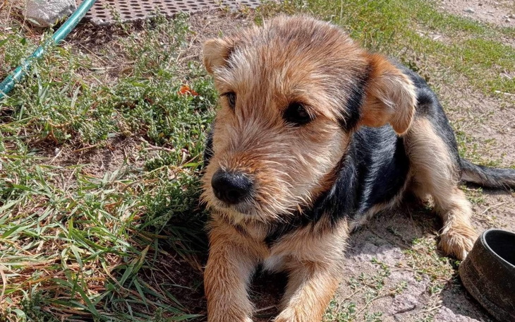 Zbiórka Po nowe lepsze życie - zdjęcie główne