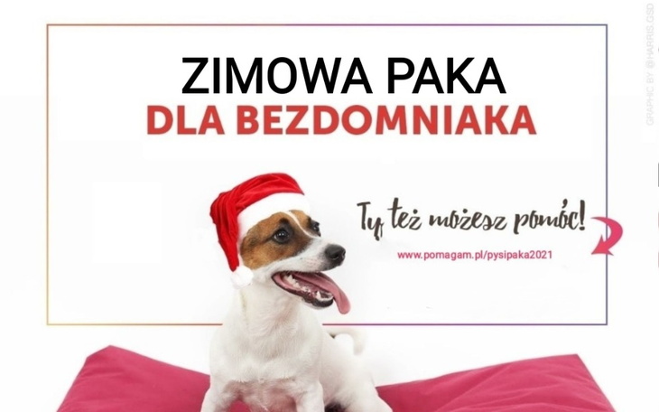 Zbiórka Zimowa PAKA 2021 - zdjęcie główne