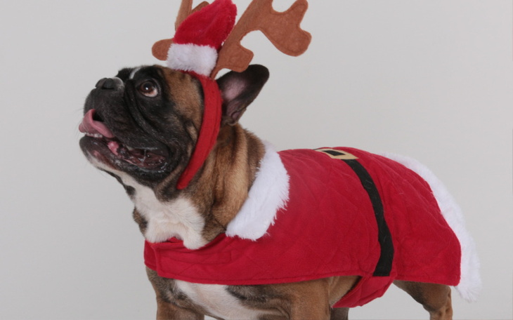 Zbiórka Podarujmy Glorii kolejne Święta - zdjęcie główne