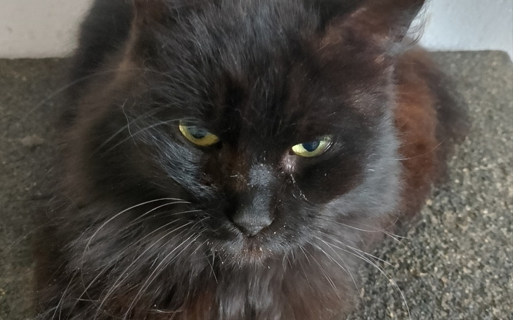 Zbiórka Na sanacje jamy ustnej - zdjęcie główne