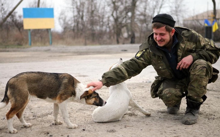 Zbiórka Ratowanie zwierząt z Ukrainy - zdjęcie główne