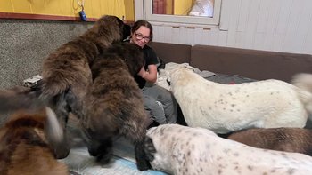 Zbiórka Świąteczna Zbiórka Przetrwania - miniaturka zdjęcia