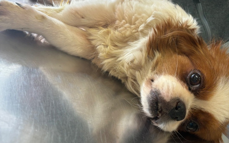 Zbiórka Za chwilę byłoby za późno.. - zdjęcie główne