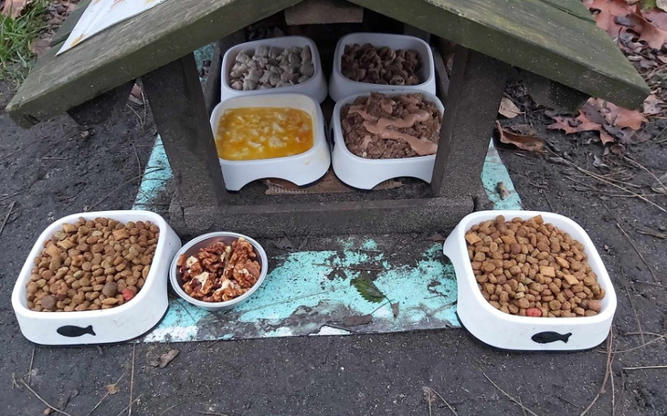 Karmnik dla zwierząt z różnymi rodzajami jedzenia.