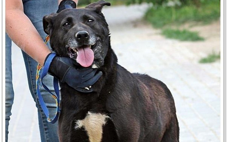 Zbiórka Pomoc dla Ghany z Radys !!! - zdjęcie główne