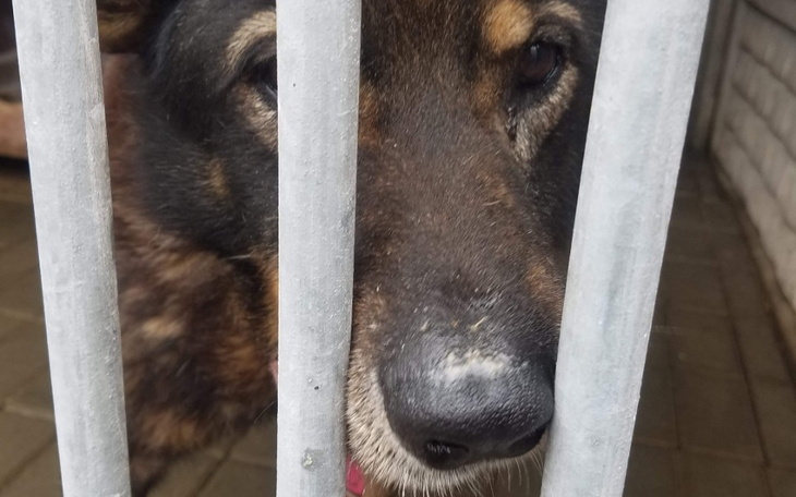 Zbiórka Lepszejutrodlakokusia - zdjęcie główne