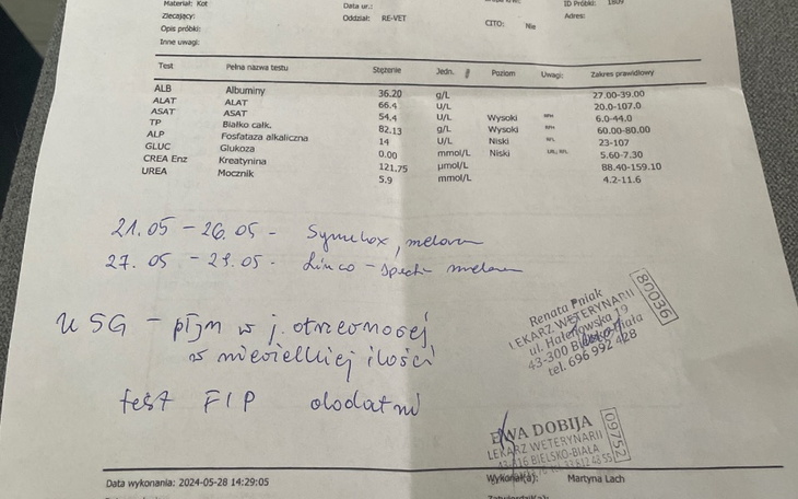 Zbiórka Wirusowe Zapalenie Otrzewnej - zdjęcie główne