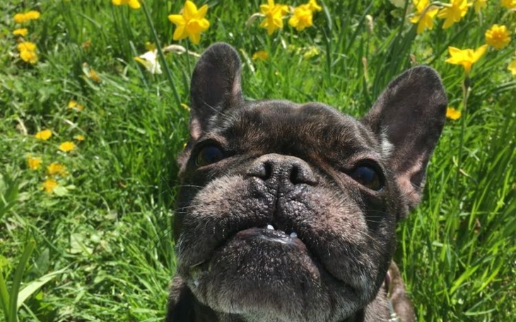 Zbiórka Jestem Luna - mam raka - zdjęcie główne