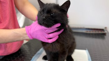 Zbiórka Beko - miniaturka zdjęcia