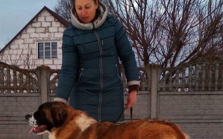 Zbiórka Agregat prądu - zdjęcie główne