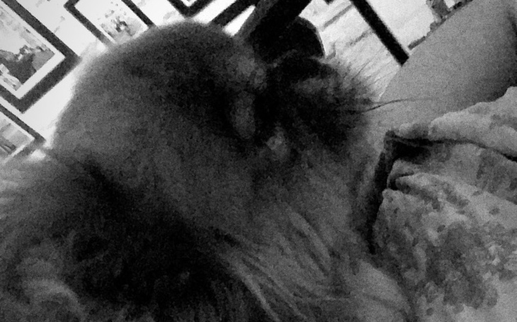 Zbiórka Badania dla Tobiego - zdjęcie główne