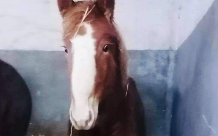 Zbiórka Znikąd.Dokąd zaprowadzi ją los - zdjęcie główne