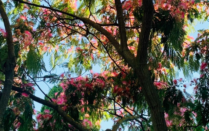 Zbiórka Wyjcie na prostą - zdjęcie główne