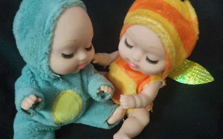 Zbiórka Na wymarzoną działkę. - zdjęcie główne