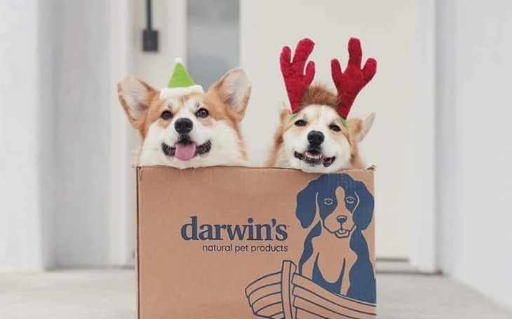 Zbiórka Na miesięczny bilet dla dawida - zdjęcie główne