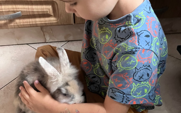 Zbiórka Pomoc uszatym w schronisku - zdjęcie główne