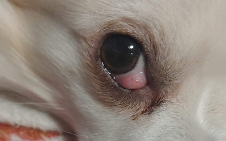 Zbiórka Marlena Osiow - zdjęcie główne