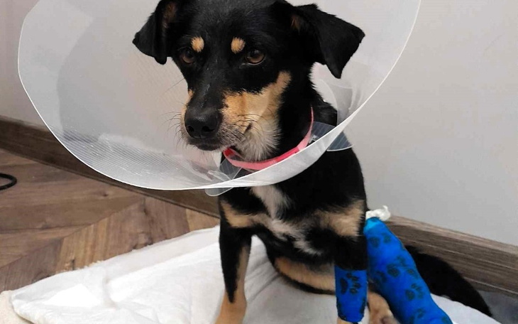 Zbiórka Pomoc w leczeniu Kluski - zdjęcie główne