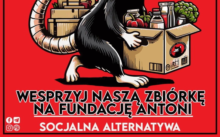Zbiórka Na Fundację Antoni . - zdjęcie główne
