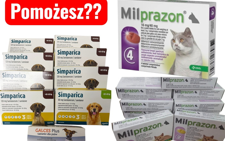 Opakowania leków dla psów i kotów, z napisem 'Pomożesz??'.