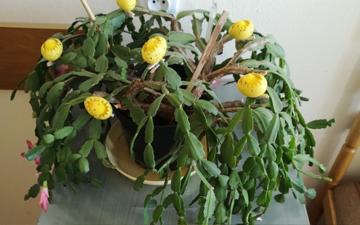 Zbiórka Adwokat potrzebny w sprawie z pr - zdjęcie główne