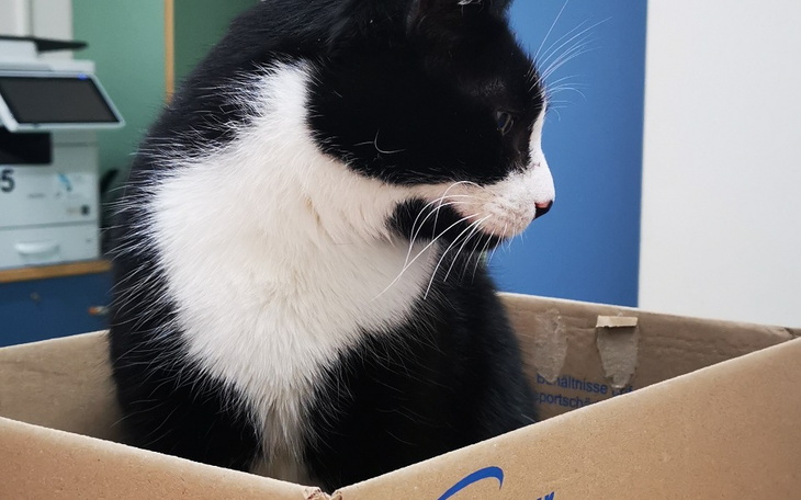 Zbiórka Leczenie Prezesa, szpitalnego ce - zdjęcie główne