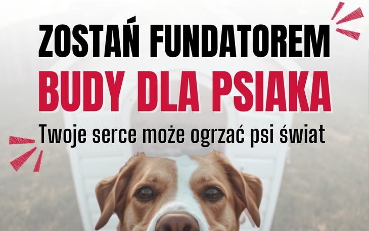 Pies z napisem o wsparciu dla budy dla psów.
