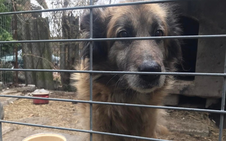 Zbiórka Dla Bajki - zdjęcie główne