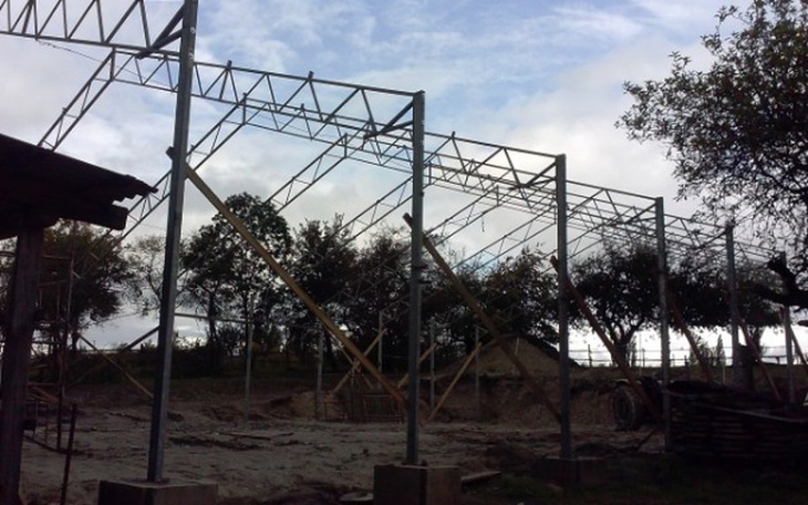 Zbiórka Dokończenie hali do hipoterapii - zdjęcie główne