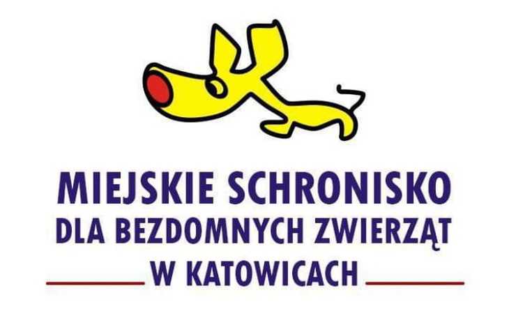 Zbiórka Mikołajki dla zwierzaków - zdjęcie główne