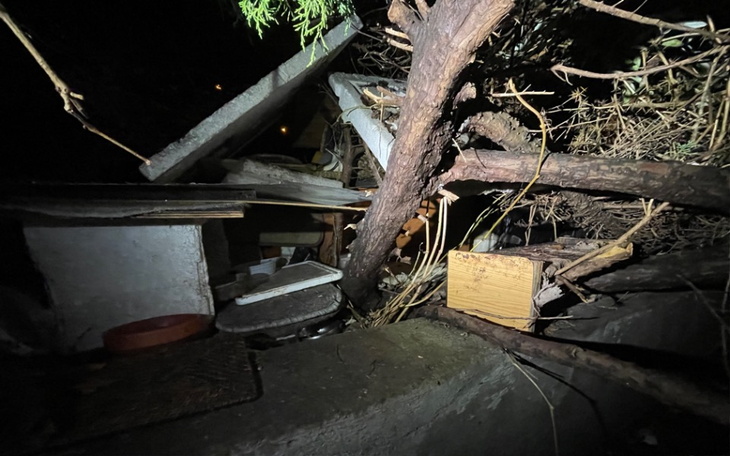 Zbiórka Dla kotów z Batorego... - zdjęcie główne