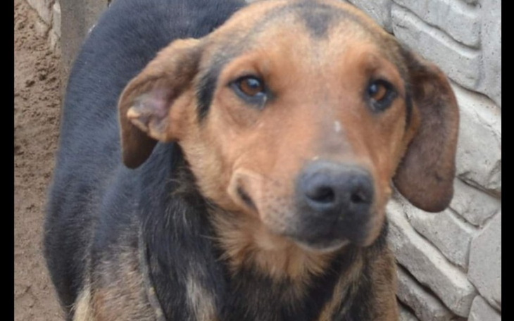 Zbiórka Xxxxxxxxxxxxx - zdjęcie główne