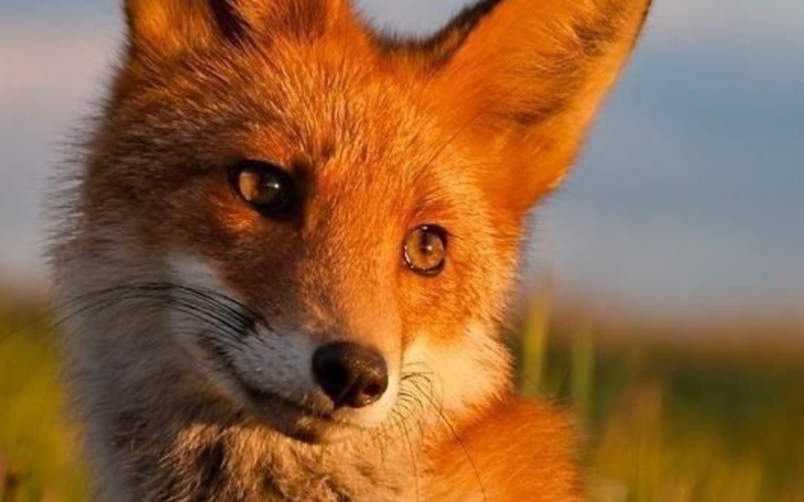 Zbiórka Komputer gaming - zdjęcie główne