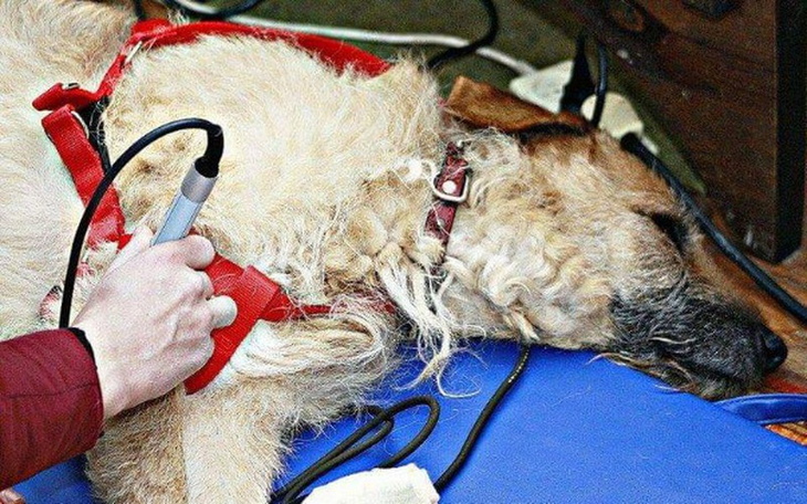 Zbiórka Historia 16-letniego Dudusia - zdjęcie główne