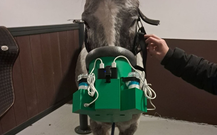 Zbiórka Za każdy oddech Bruna - zdjęcie główne