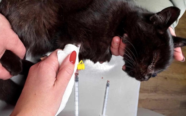 Zbiórka Jasio chce żyć - zdjęcie główne