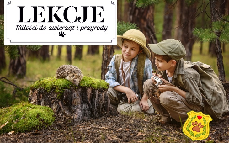 Zbiórka Edukacja dla Lepszej Przyszłości - zdjęcie główne