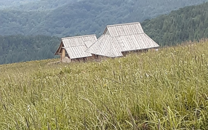 Zbiórka Pomagajmy bo tak czeba - zdjęcie główne