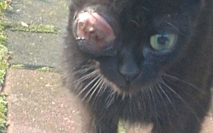 Zbiórka Podaruj szansę na przeżycie - zdjęcie główne