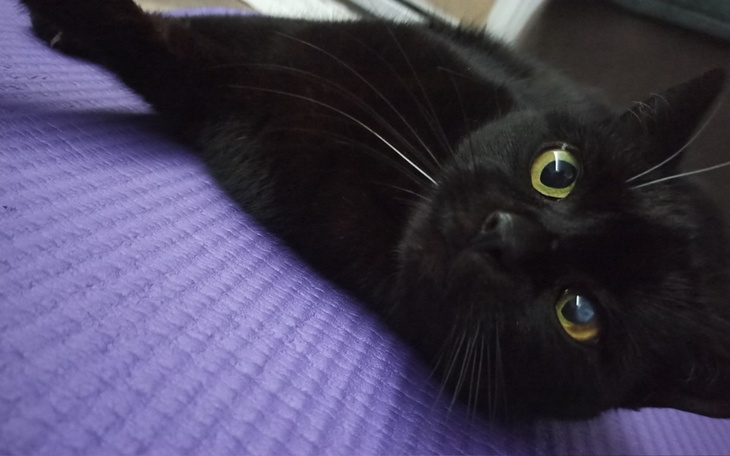 Zbiórka Operacja Mrówki - zdjęcie główne