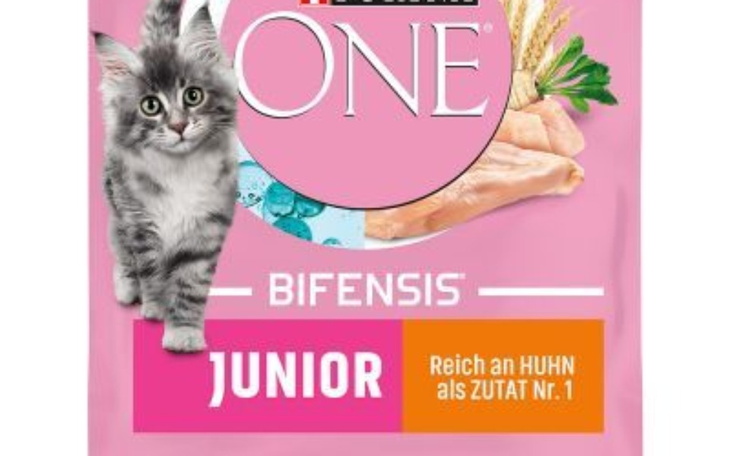 Zbiórka Karma dla kocich maluszków - zdjęcie główne